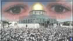دراسة فلسطينية : حزام استيطاني للسيطرة على المسجد الأقصى