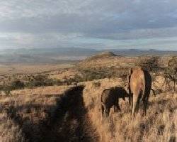 Severe drought hits eastern Africa 