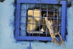 UN: Prisoners still tortured in Afghan custody