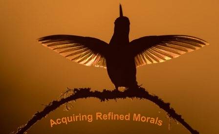 Means of Acquiring Refined Morals