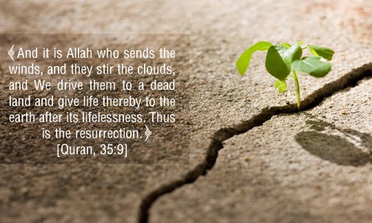 Resurrection after Death in the Verses of the Noble Quran - II