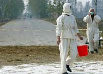 China Denies Human Bird Flu as Village Girl Dies 