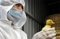 China Reports New Bird Flu Outbreaks