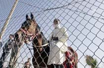 Palestinians Open Gaza-Egypt Border 