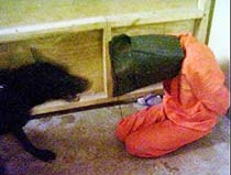 Abu Ghraib Abuses Spark Outrage