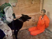 Pentagon to Release more Abu Ghraib Photos