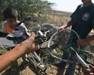 Two Boys Killed in Israeli Gaza Strike