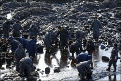 South Korea oil spill spreads   