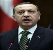 Turkish premier decries ban attempt   