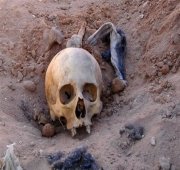 Mass grave found in Iraq