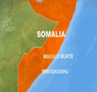 Fighters capture Somali town   