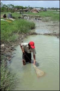 Myanmar lashes foreign aid, says survivors can eat frogs