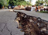 Deaths in Japan earthquake    