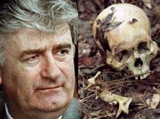 Balkan war crimes fugitive Karadzic arrested