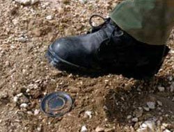 4 migrants killed in minefield near Greece-Turkey border