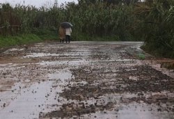 Nearly 30 dead, dozens injured in Algeria floods