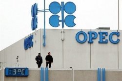 Oil price fall prompts Opec meeting 