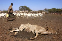 Clashes over water kill 4 in drought-hit Kenya