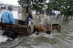 Vietnam floods kill 49