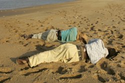 Migrant bodies wash up in Yemen 