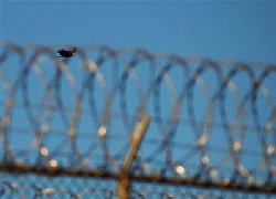 Guantanamo detainees back in Bosnia 