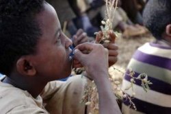 Ethiopia says 4.9 million people need food aid