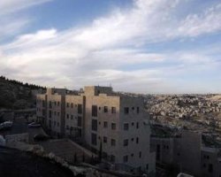 Obama urged to condemn settlements 