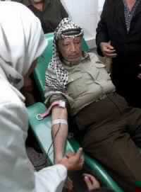 With World Attention Elsewhere Israel Kills 4 More Palestinians and Invades Jericho