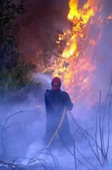 Europe Still in Grip of Forest Fires