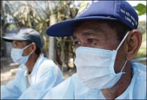 WHO Sounds Bird Flu Virus Warning