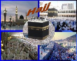 Questions on the Rites of Hajj - II