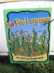 Bad Language: A Destructive Habit